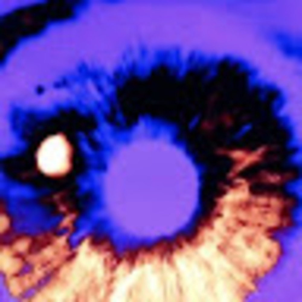 Meet your Posher, Heidi